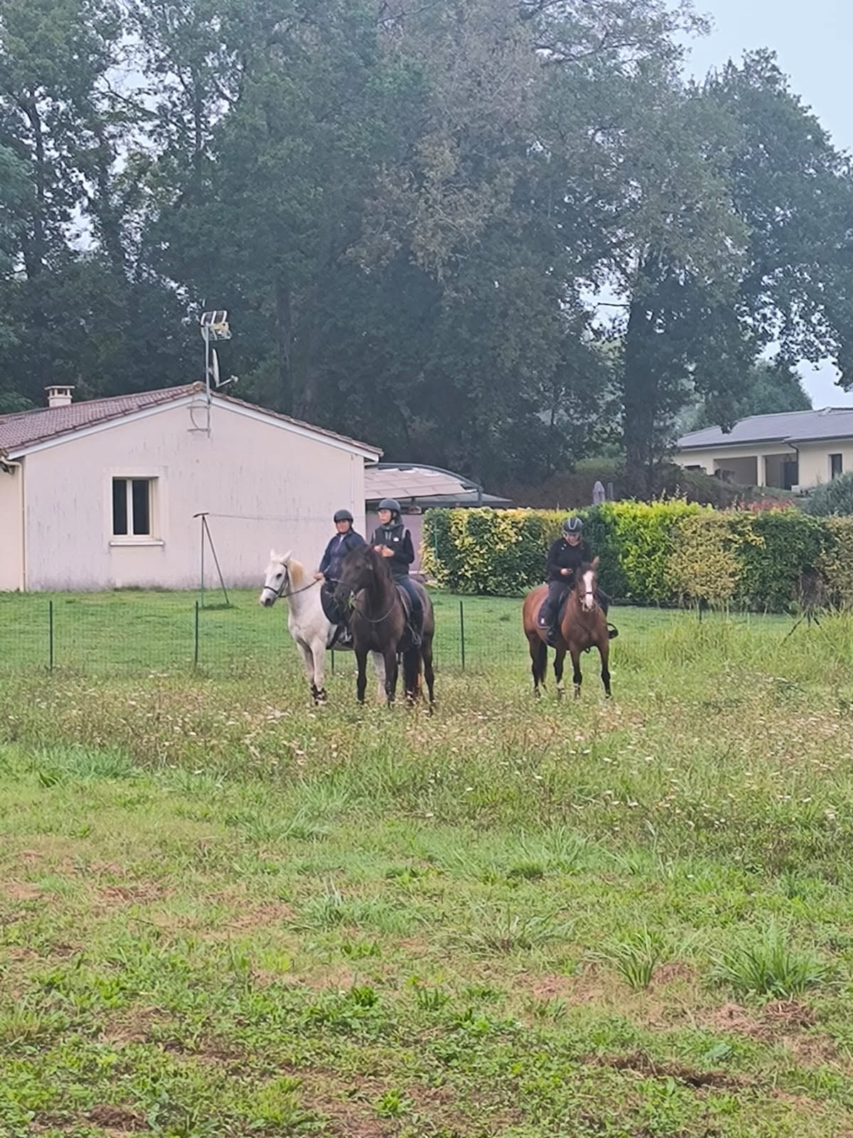 Photo du SASB24