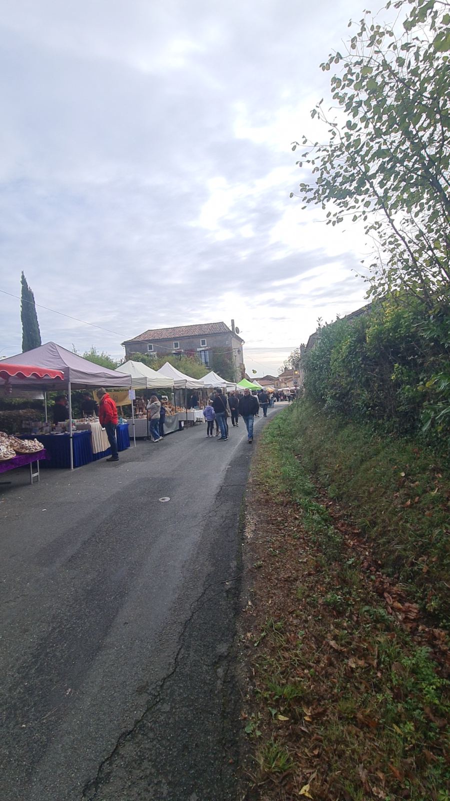 Photo du SASB24